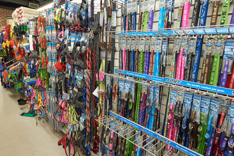 Leashes at Regina's PET DEPOT